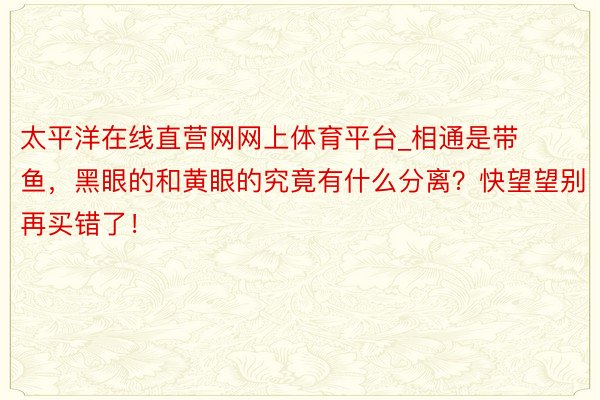 太平洋在线直营网网上体育平台_相通是带鱼，黑眼的和黄眼的究竟有什么分离？快望望别再买错了！
