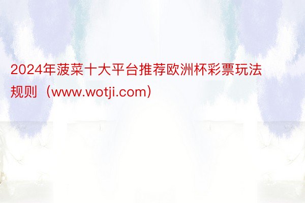 2024年菠菜十大平台推荐欧洲杯彩票玩法规则（www.wotji.com）